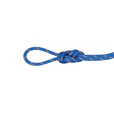 画像2: 【特別価格10％OFF】 MAMMUT マムート 7.5 アルパイン センダー ドライ ロープ (2010-06610) (2)