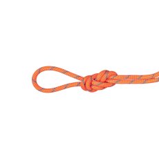 画像1: 【特別価格10％OFF】 MAMMUT マムート 7.5 アルパイン センダー ドライ ロープ (2010-06610) (1)