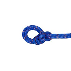 画像1: 【特別価格10％OFF】 MAMMUT マムート 9.5 クラッグ ドライ ロープ (2010-07020) (1)