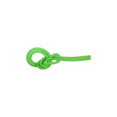 画像2: 【特別価格10％OFF】 MAMMUT マムート 9.5 クラッグ ドライ ロープ (2010-07020) (2)