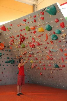 画像4: pamo パモ スティック  A-TYPE 【本体価格+送料込】 (4)