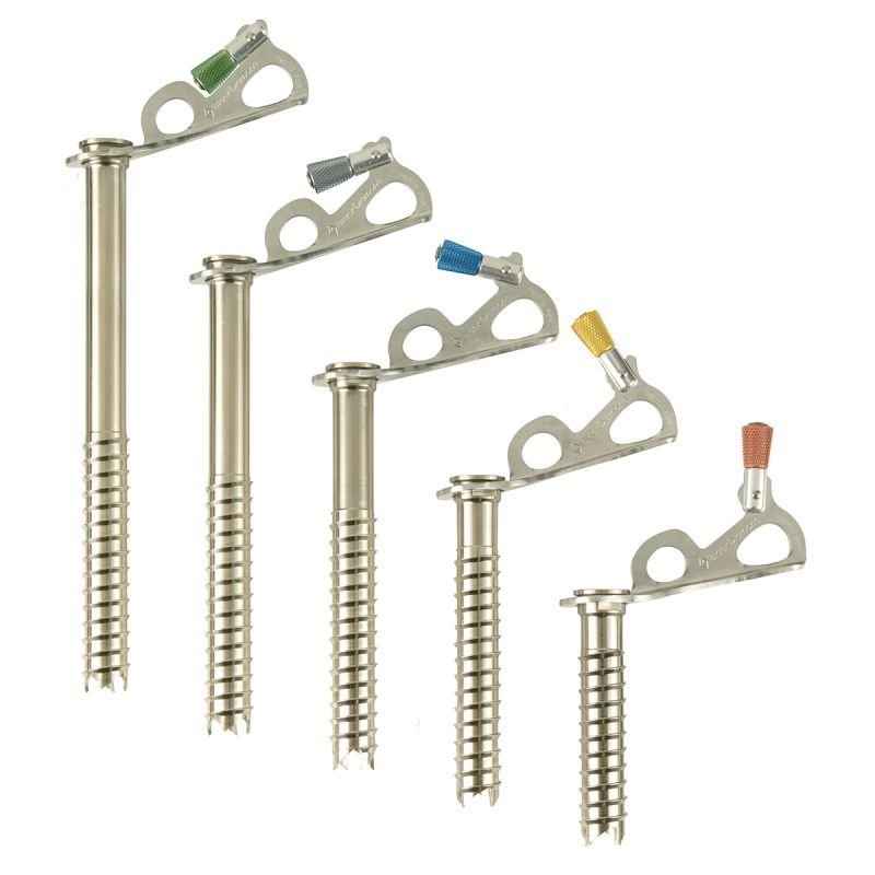 BlackDiamond ブラックダイヤモンド エクスプレスアイススクリュー