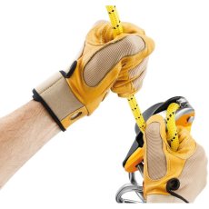 画像7: ★PETZL ペツル リグ (7)
