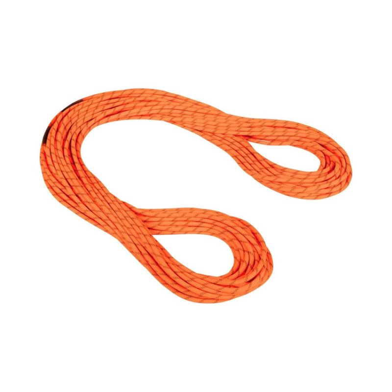 特別価格10％OFF】 MAMMUT マムート 8.0 アルパイン ドライ ロープ