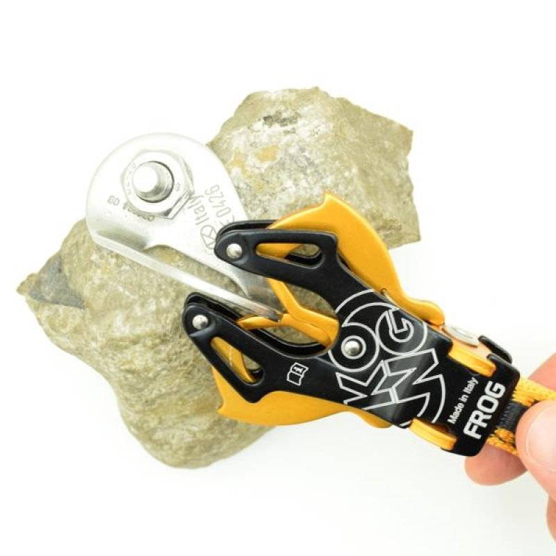 コング KONG コング フロッグクイックドロー