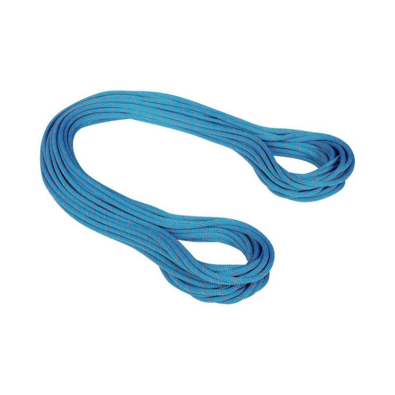 Mammut - 長さ50m 直径9.9mm マムート ジム ワークホース クラシック ロープ 9.9 Gym Workhorse Classic Rope | Mammut