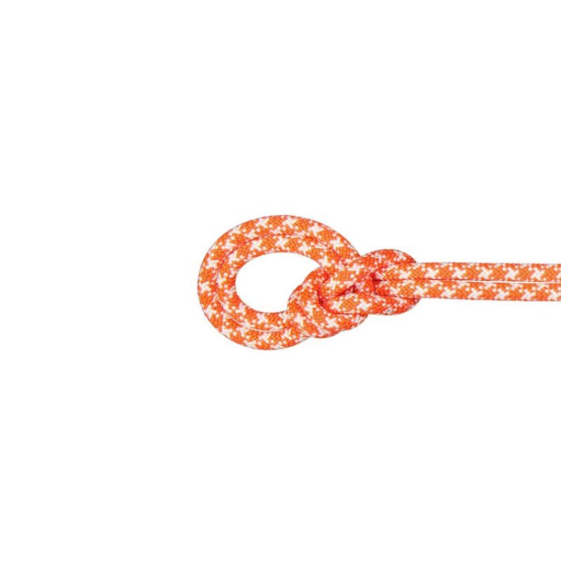 Mammut - MAMMUT クライミング　シングルロープ　50m MAMMUT 長さ50m 直径7.5mm マムート メンズ レディース