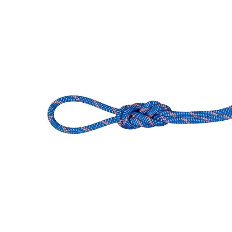 特別価格10％OFF】 MAMMUT マムート 7.5 アルパインセンダー