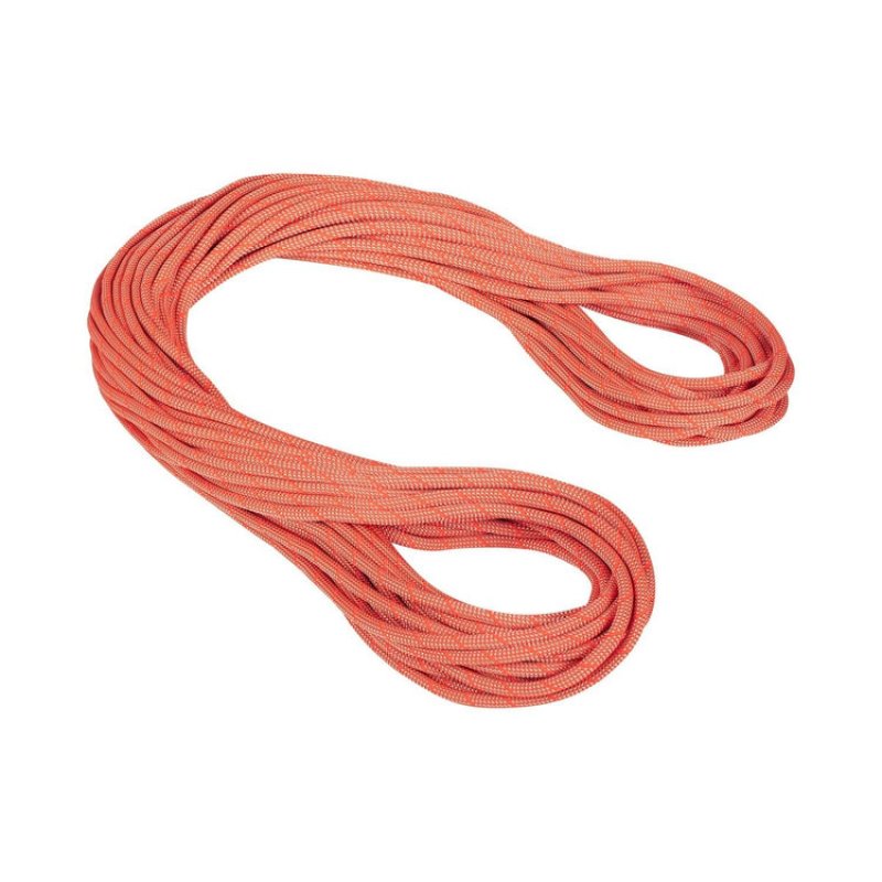 Mammut - MAMMUT クライミング　シングルロープ　50m 楽天市場】長さ50m 直径8mm マムート メンズ レディース