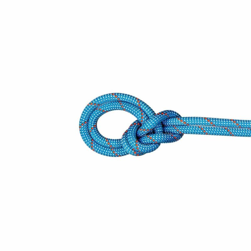 特別価格10％OFF】 MAMMUT マムート 9.8 クラッグ クラシック ロープ