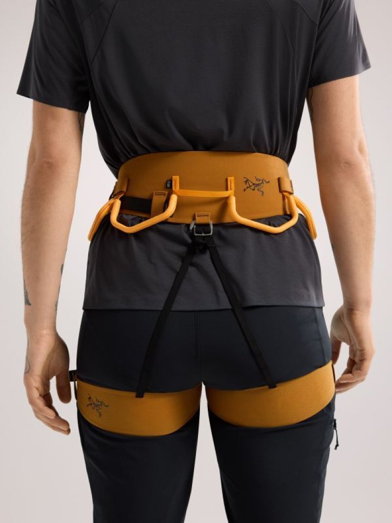 Arc'teryx アークテリクス AR-385a ハーネス ウィメンズ