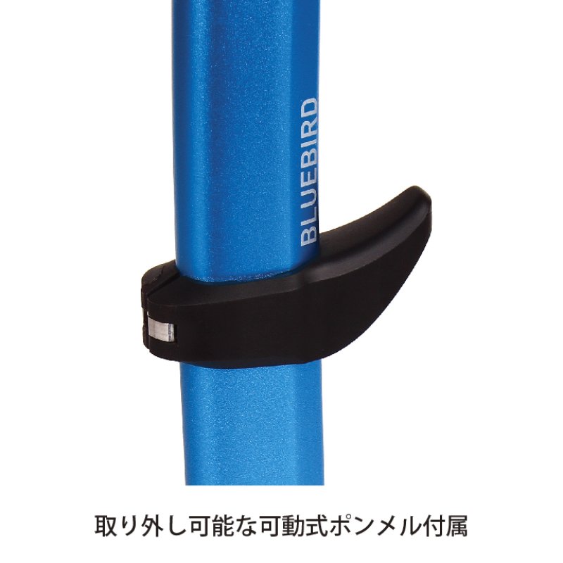 BLUE ICE ブルーアイス ブルーバード