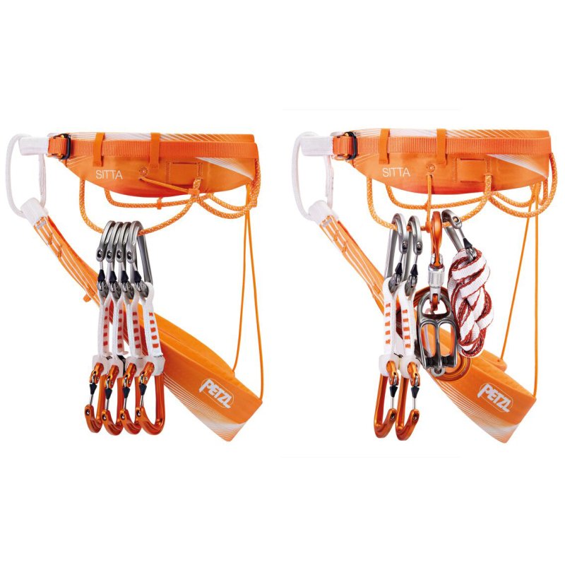 ベジッタ Petzl ペツル シッタ(C011AA）