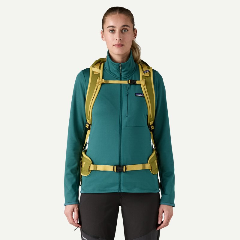 patagonia パタゴニア アセンジョニスト・パック 35L