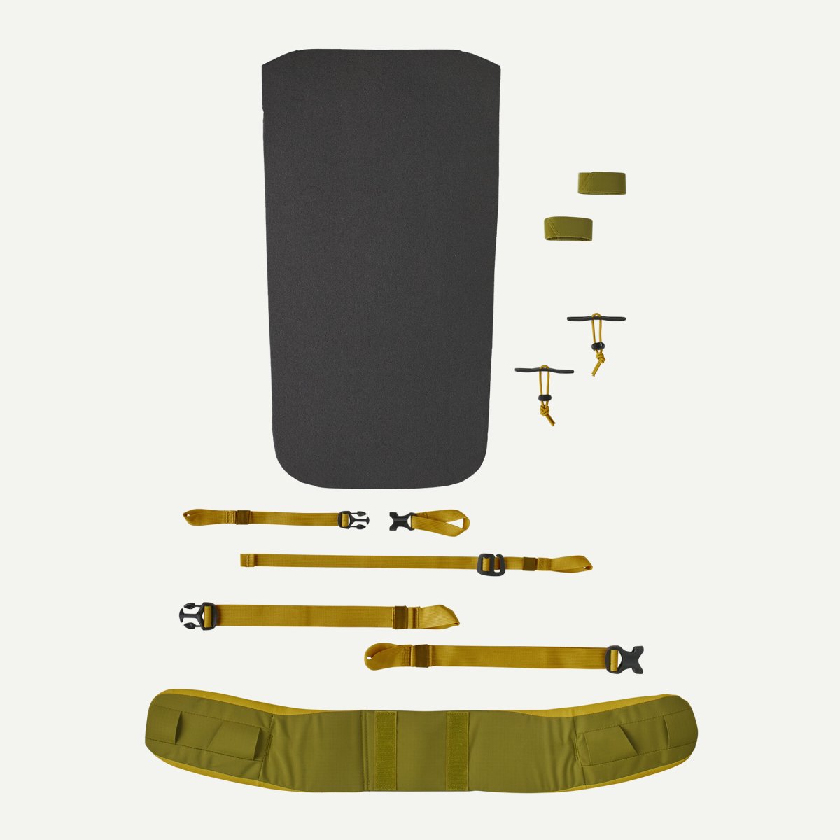 画像10: patagonia パタゴニア アセンジョニスト・パック 35L (10)