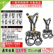 画像1: ペツル アストロ 国際Ver.【旧アストロ ボッド ファスト 国際Ver. モデルチェンジ】 (1)