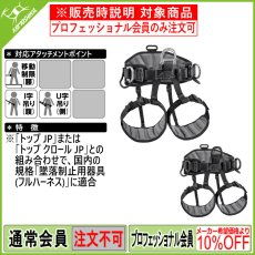 画像1: PETZL ペツル アバオ シット C079AB00 (1)