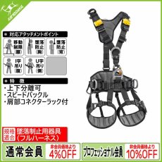 画像1: PETZL ペツル アバオ ファスト 国際Ver. C071DB (1)