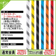 画像1: 【切売り 2ｍ〜99m※1m単位】PETZL ペツル ベクター 12.5mm特注ロープ [受注発注商品] (1)
