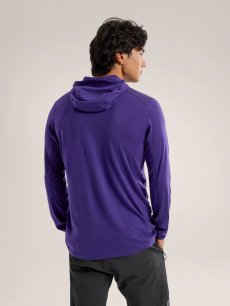 画像9: Arc'teryx アークテリクス イオニア メリノウール フーディ メンズ  (9)