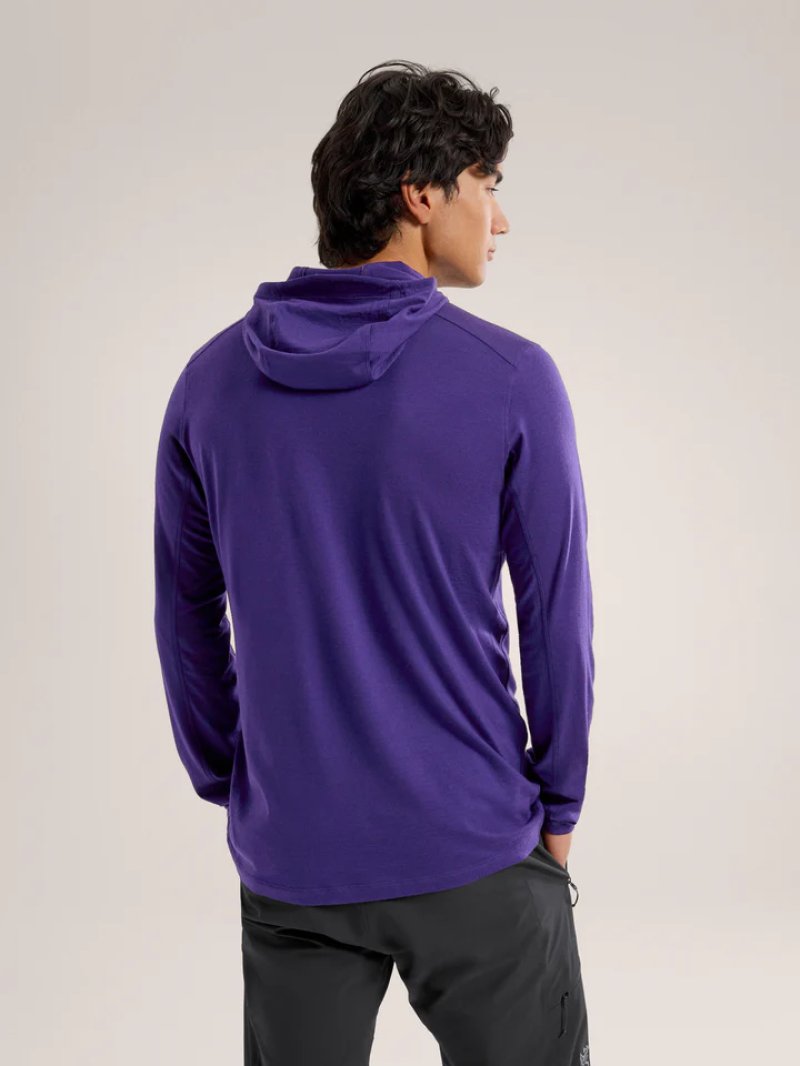Arc'teryx アークテリクス イオニア メリノウール フーディ メンズ