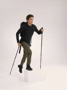 画像4: Arc'teryx アークテリクス イオニア メリノウール フーディ メンズ  (4)