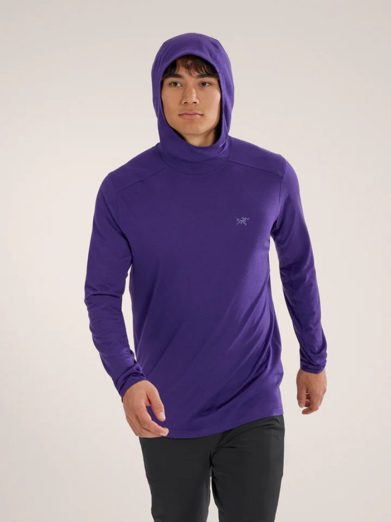 Arc'teryx アークテリクス イオニア メリノウール フーディ メンズ