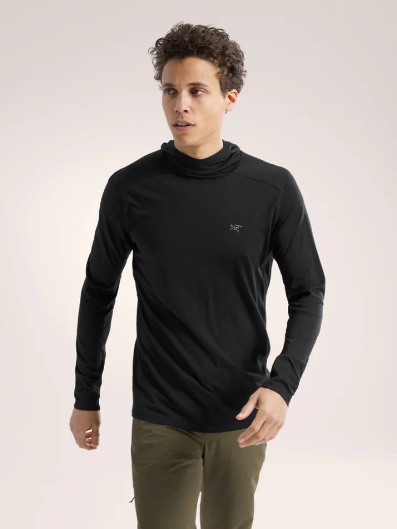 Arc'teryx アークテリクス イオニア メリノウール フーディ メンズ
