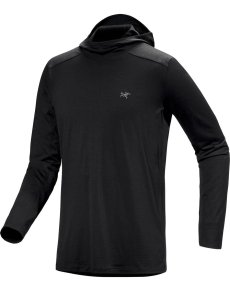 画像1: Arc'teryx アークテリクス イオニア メリノウール フーディ メンズ  (1)