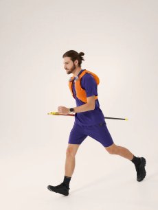 画像10: Arc'teryx アークテリクス コーマック アークバード ロゴ ショートスリーブ メンズ  (10)