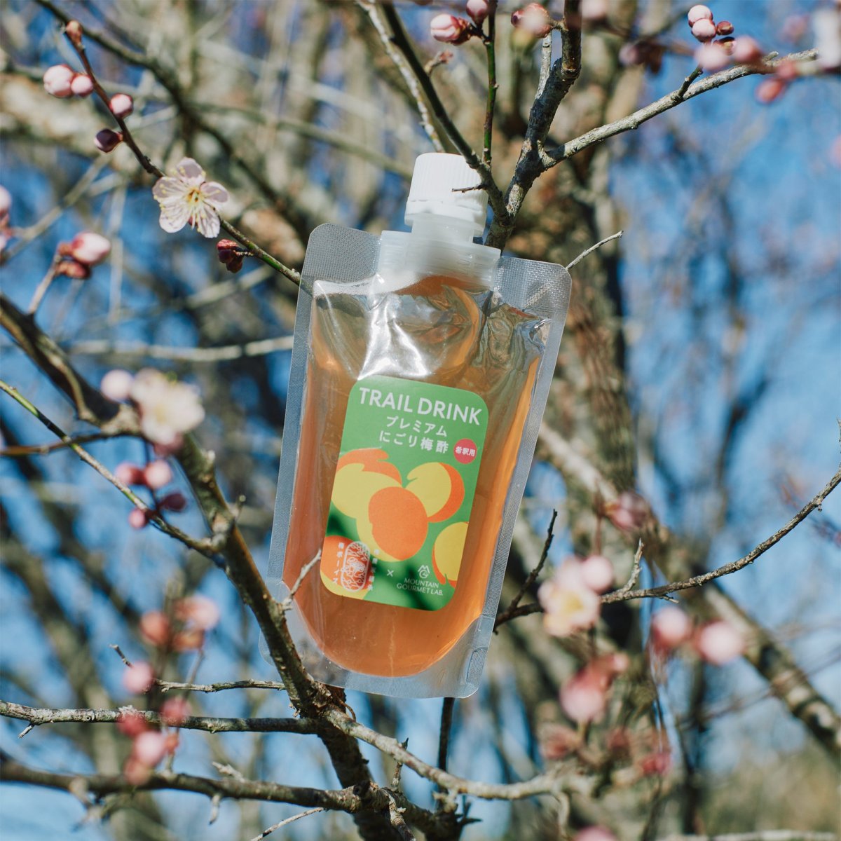 画像3: TRAIL DRINK プレミアムにごり梅酢（30倍希釈用） マウンテングルメラボ (3)