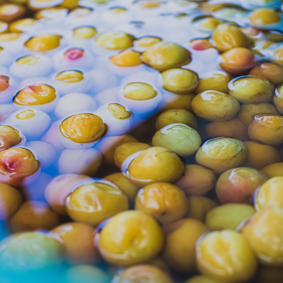 画像4: TRAIL DRINK プレミアムにごり梅酢（30倍希釈用） マウンテングルメラボ (4)