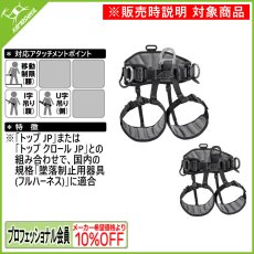 画像1: ★ PETZL ペツル アバオ シット C079AB00 (1)