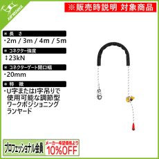 画像1: ★PETZL ペツル グリヨン フック 欧州Ver. (1)