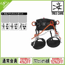 画像1: ロックエンパイア シャーマン [取り寄せ対応品] (1)