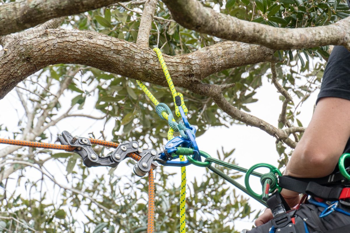 画像3: トゥーフェルベルガー ミニグライド【受注発注商品】 (3)