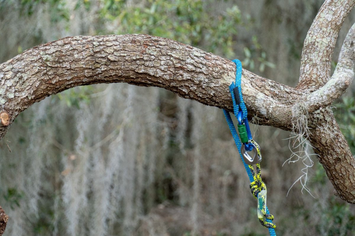 画像7: トゥーフェルベルガー ヒップスターグライド 11.5mm / 12.9mm (7)