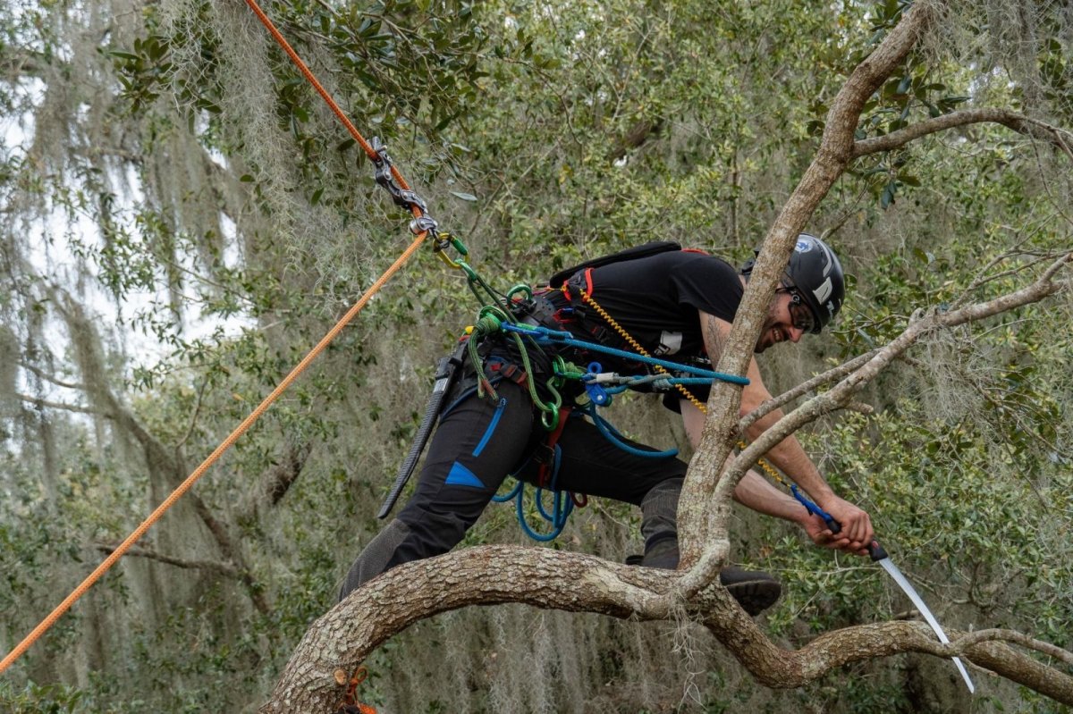 画像6: トゥーフェルベルガー ヒップスターグライド 11.5mm / 12.9mm (6)