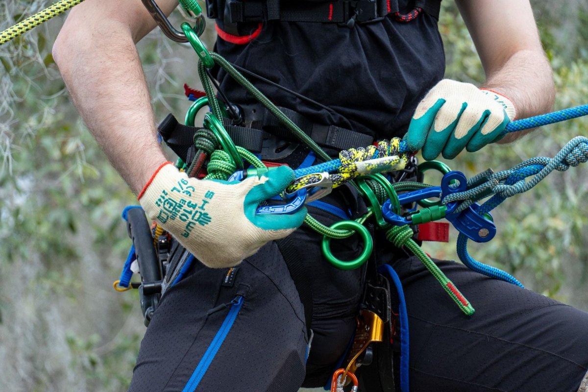 画像8: トゥーフェルベルガー ヒップスターグライド 11.5mm / 12.9mm (8)