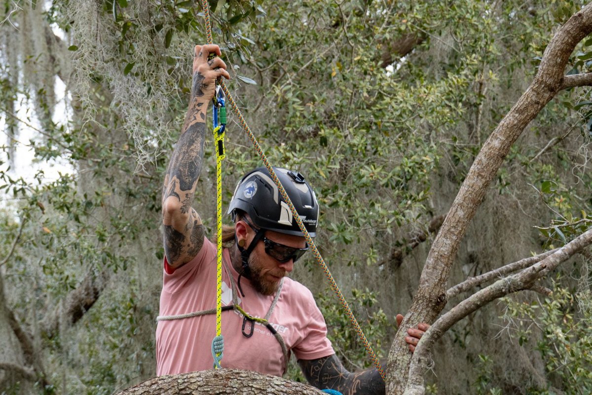 画像4: トゥーフェルベルガー ミニグライド【受注発注商品】 (4)