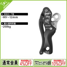 画像1: シンギングロック ダブルストップディセンダー プラス (K031DSD00) [取り寄せ対応品] (1)