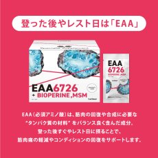 画像14: 【クライマーのための専用サプリ(BCAA)】　Hematite / Obsidian / Larimar (14)