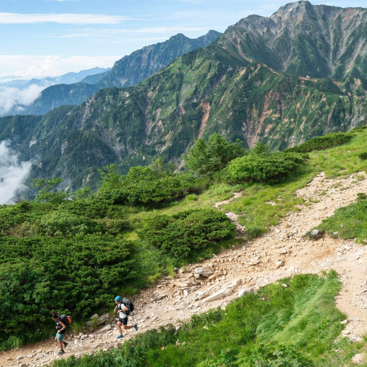 画像7: PaaGoWORKS ZENN RUNNING HARNESS　パーゴワークス ゼン ランニングハーネス (7)