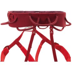 画像5: Petzl ペツル アジャマ (5)