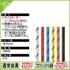 画像1: 【切売り 2ｍ〜99m※1m単位】PETZL ペツル アクシス 11mm特注ロープ  [受注発注商品/納期6ヶ月] (1)