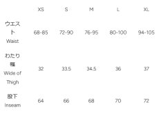 画像8: STATIC スタティック APOSTLE LT PANTS  アポスル LT パンツ  (8)