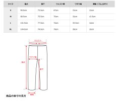 画像20: finetrack ファイントラック スカイトレイルパンツ メンズ (FBM1011) (20)