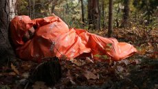 画像4: SOL  エスオーエル ニューエスケープヴィヴィ (4)