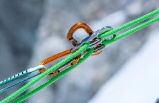 画像6: GRIVEL グリベル スクリーム (6)