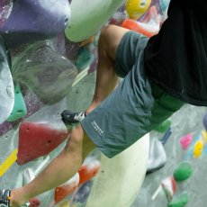 画像8: FANTASISTA CLIMBING ファンタジスタクライミング Powered Half Pants パワードハーフパンツ (8)